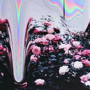 Meet your Posher, Hailey